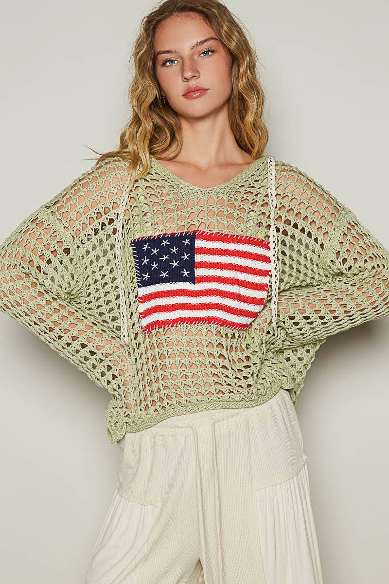 American Flag Hooded Sweater