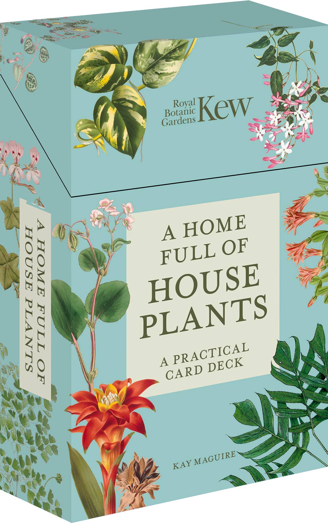 A Home Full of House Plants – Practical Card Deck for Indoor Greenery