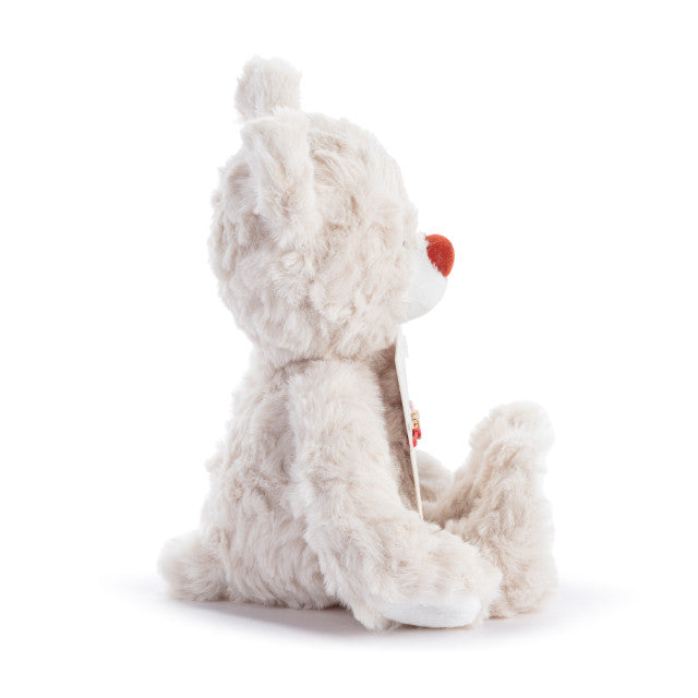 XOXO Cream Bear