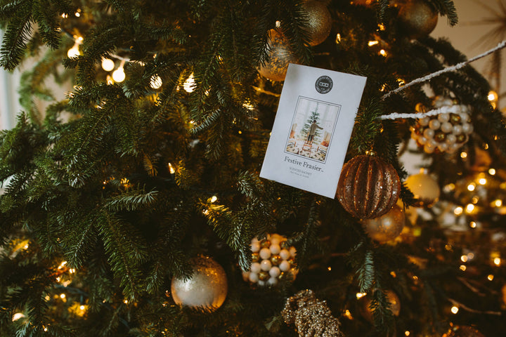 Festive Frasier Sachet
