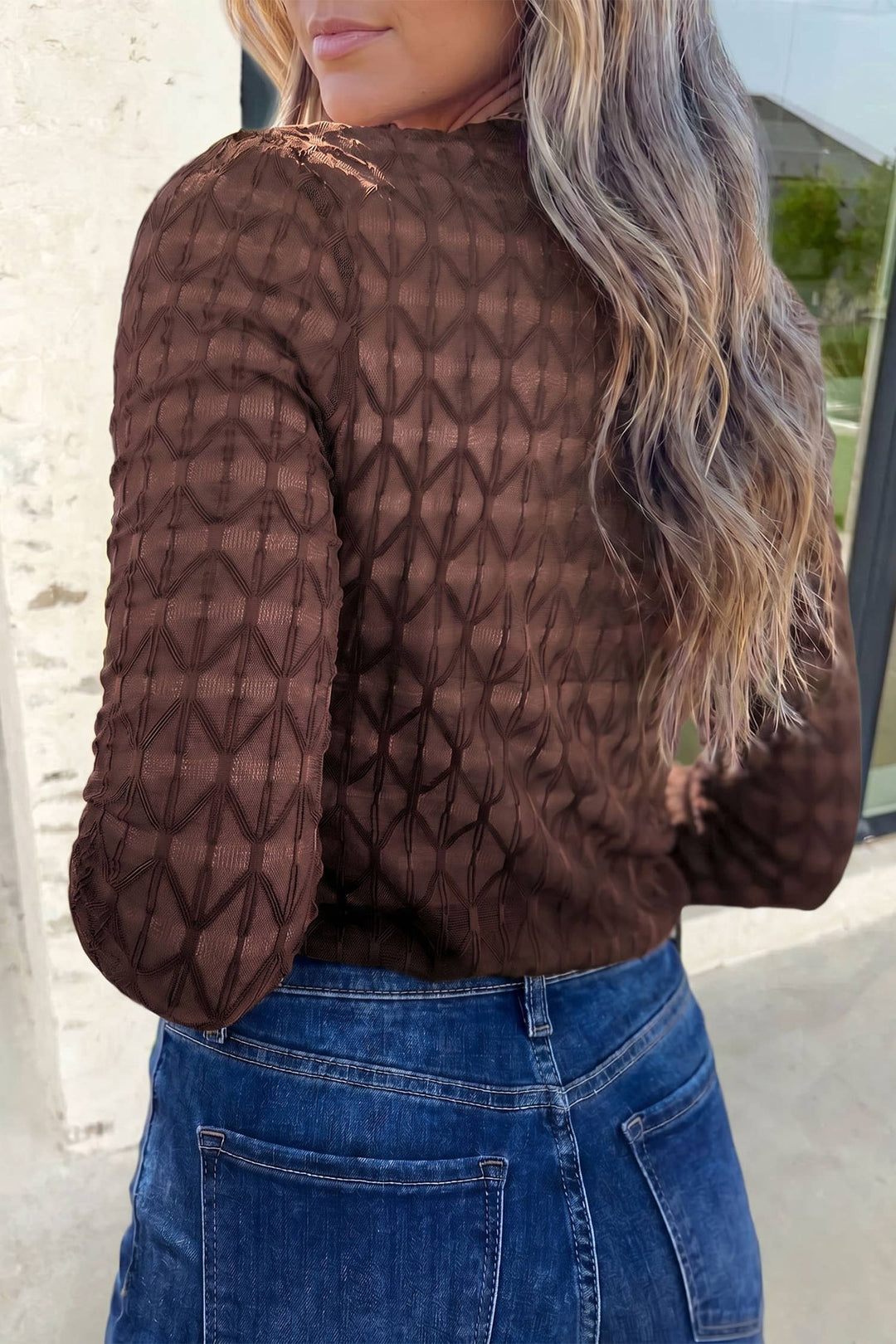 Solid Mock Neck Sheer Textured Lace Top | S-XL