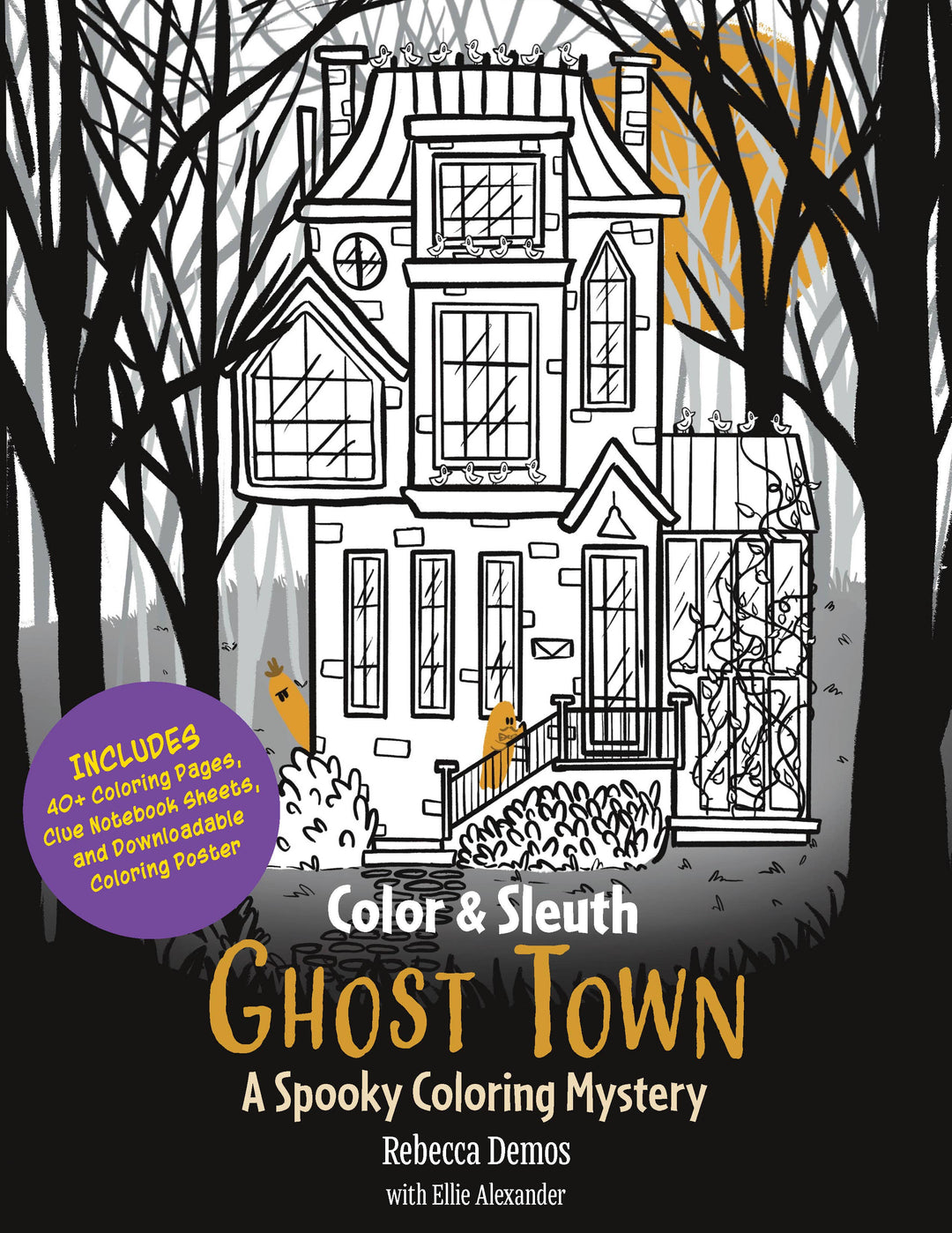Color & Sleuth: Ghost Town – A Spooky Coloring Mystery Book