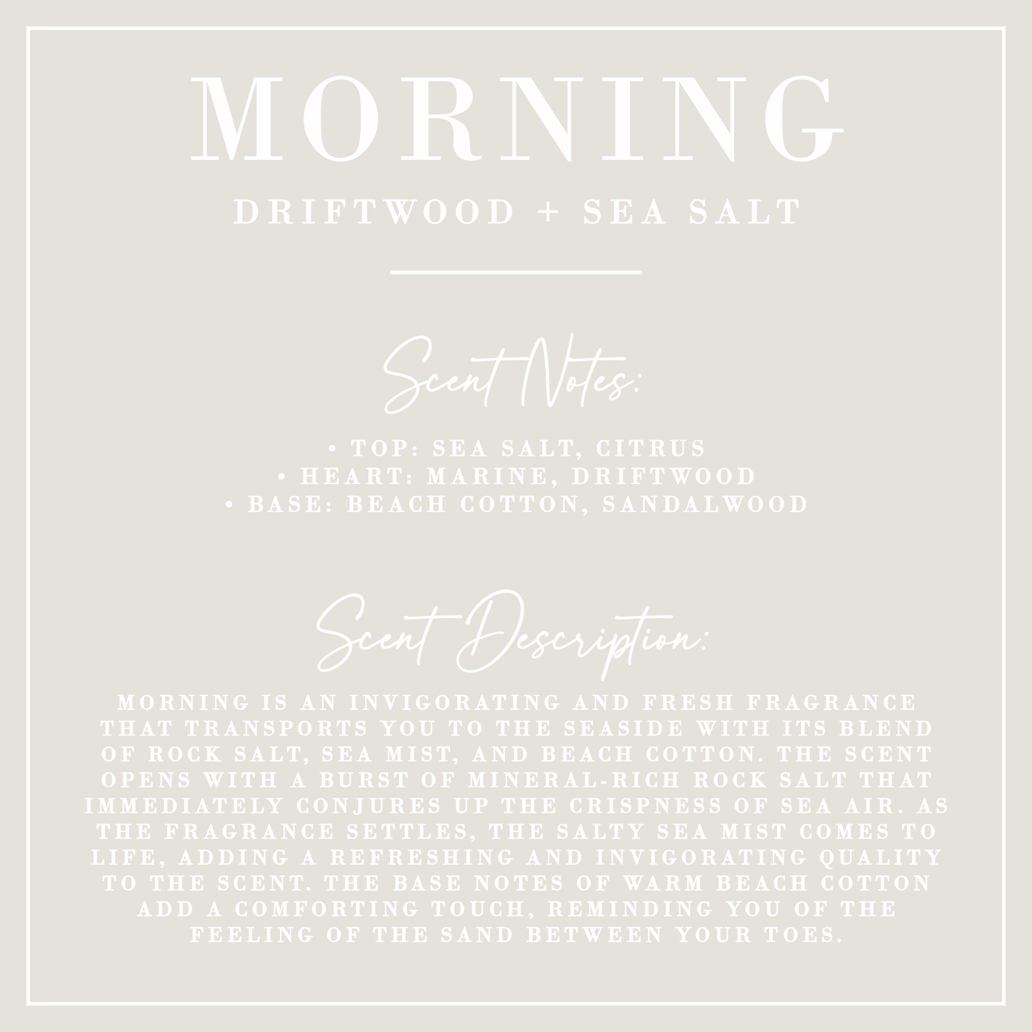 MORNING | Driftwood + Sea Salt Fluted Coconut Wax Candle