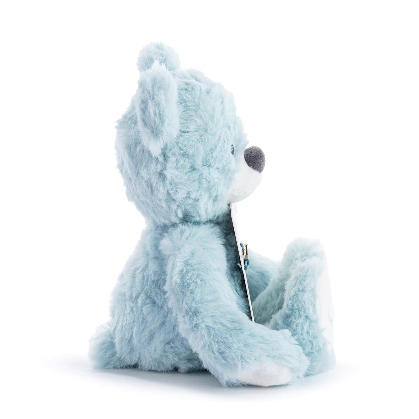 Moon and Back Blue Bear