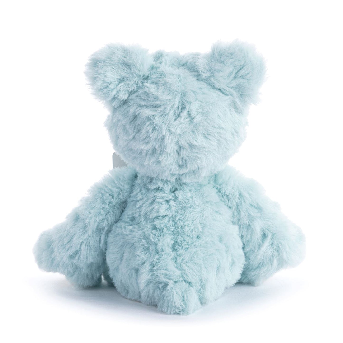 Moon and Back Blue Bear