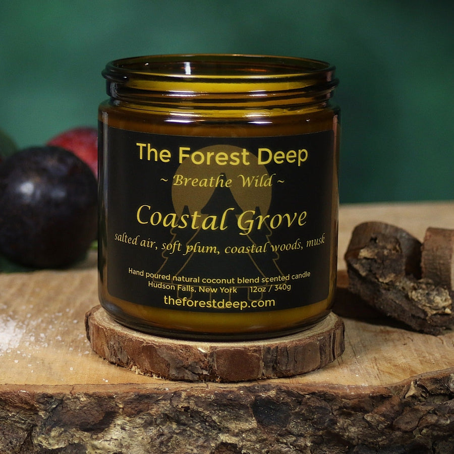 Coastal Grove candle in amber jar with ocean and forest inspired scent