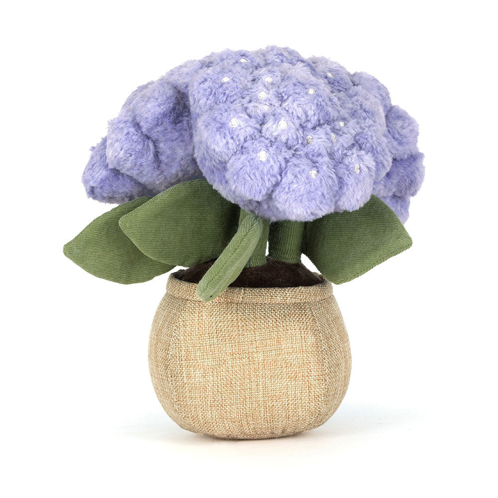 Plush hydrangea plant with purple blooms and burlap pot