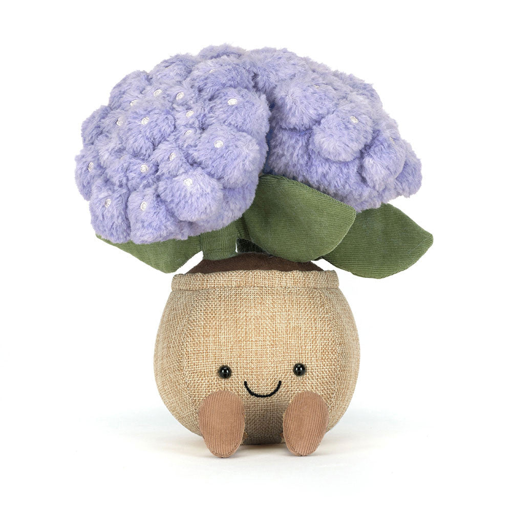 Plush hydrangea plant with purple blooms and smiling pot