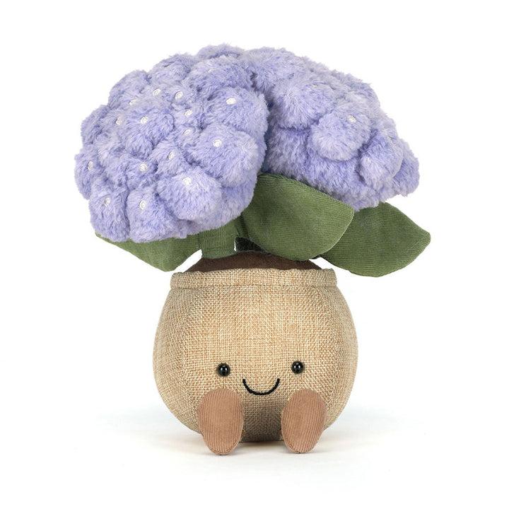 Plush hydrangea plant with purple blooms and smiling pot