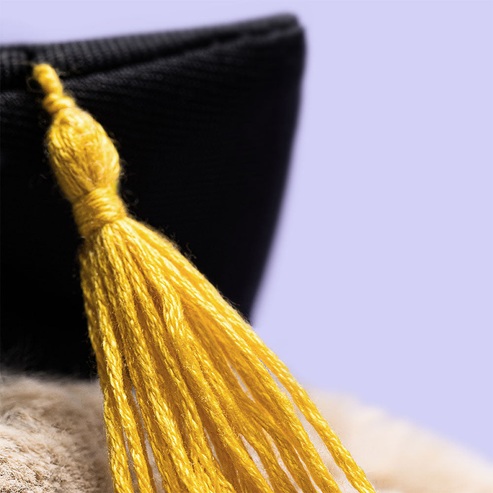detail of cap & tassel