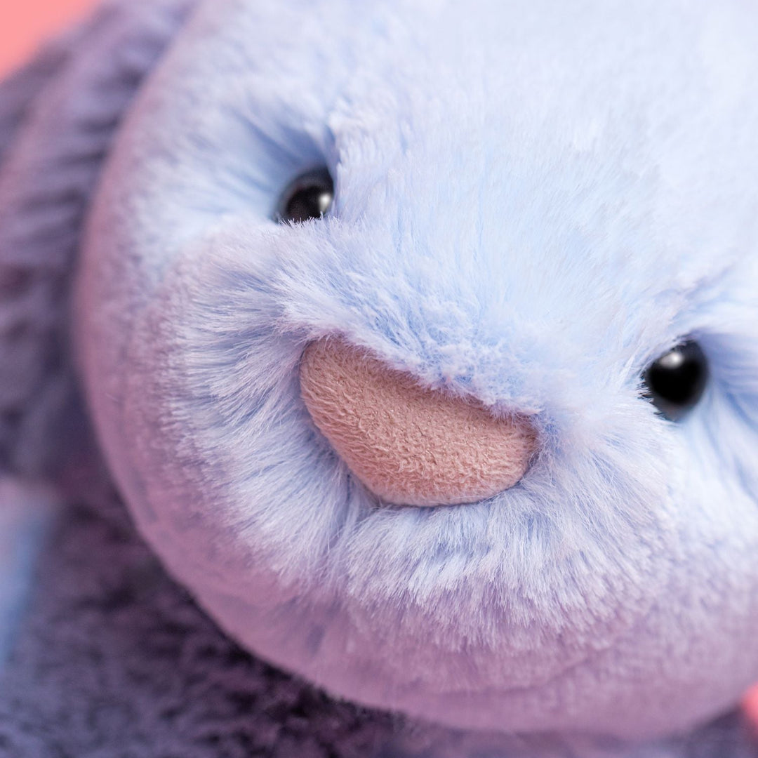 closeup detail of bunny face