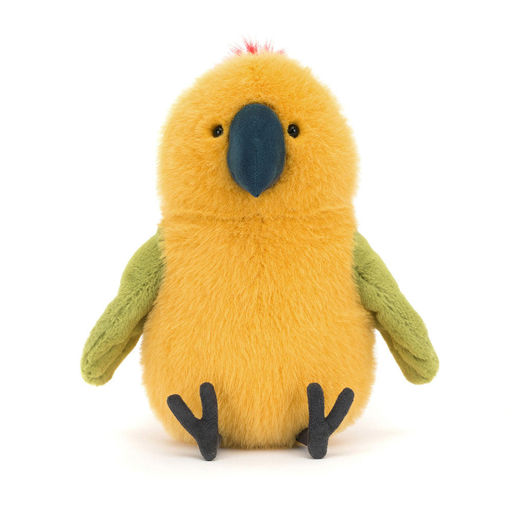 Budgeby Parrot sitting forward facing features his adorable face with black eyes and beak. 