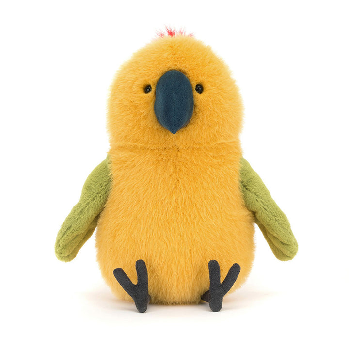 Budgeby Parrot sitting forward facing features his adorable face with black eyes and beak. 