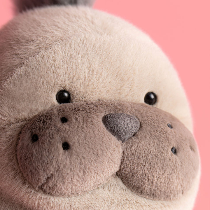 Close-up of a plush sea lion toy with a pink background