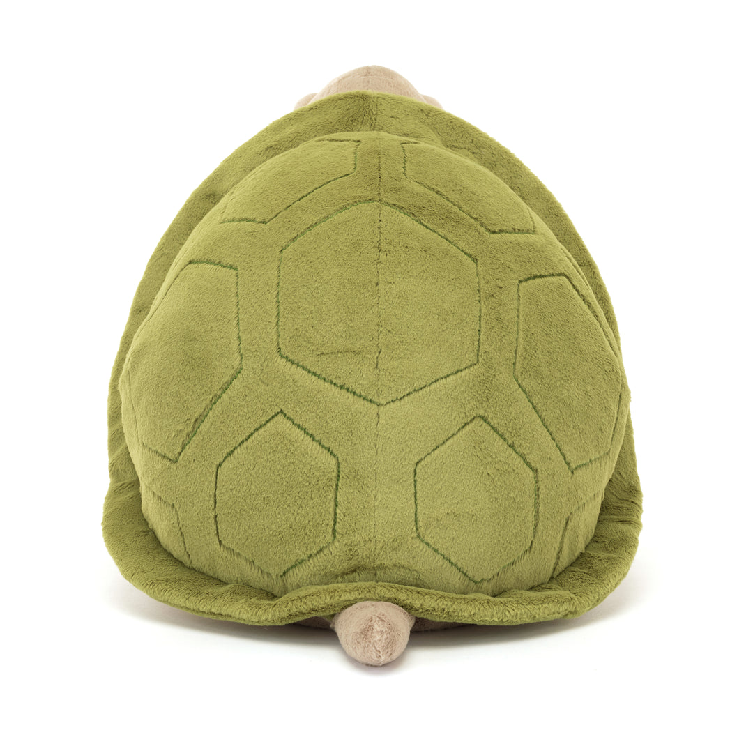 Timmy Turtle Big