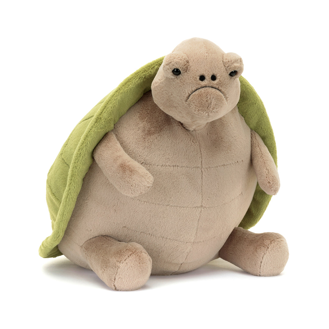 Timmy Turtle Big