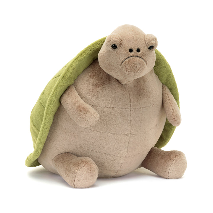 Timmy Turtle Big