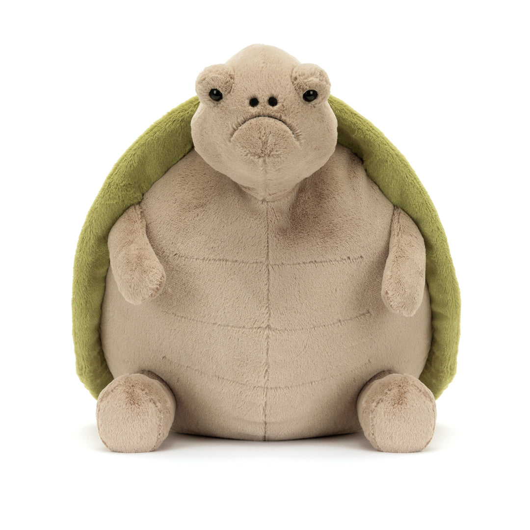 Timmy Turtle Big