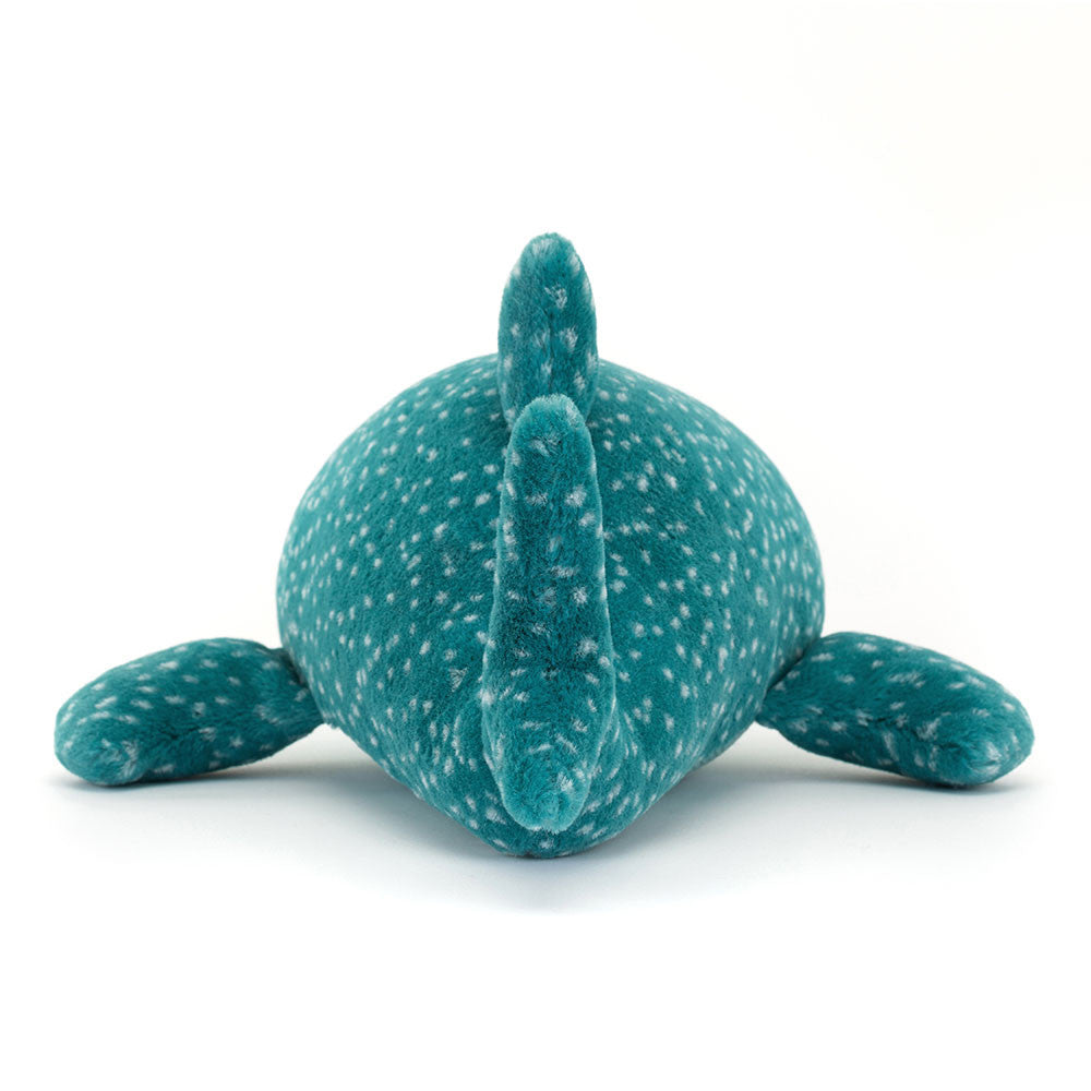 Gobfrey Whale Shark back view really shows off his size, strong tail, side fins and of course his blue spotted body.
