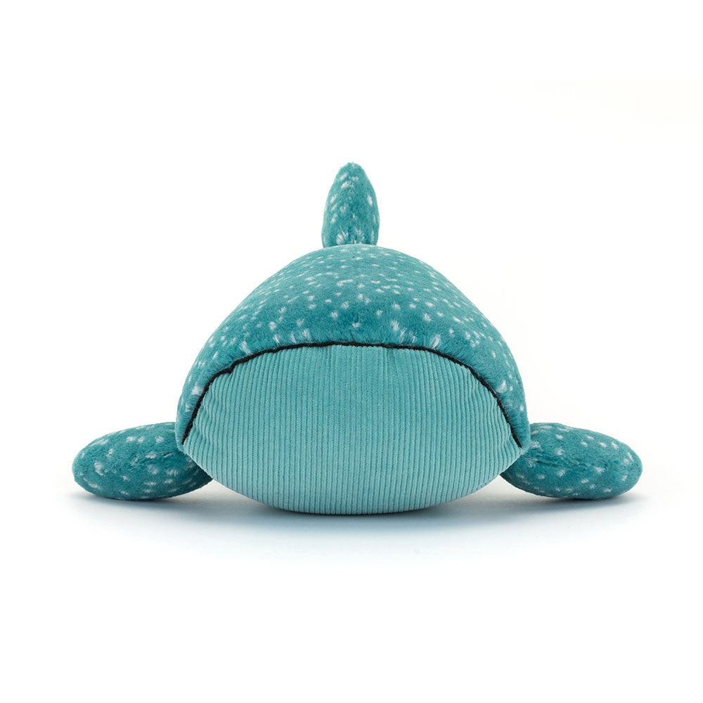 This picture of Gobfrey Whale Shark really shows off his frowning face and soft corduroy unspotted belly. 