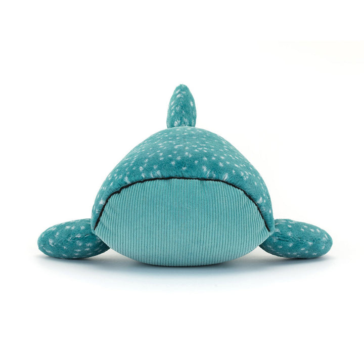 This picture of Gobfrey Whale Shark really shows off his frowning face and soft corduroy unspotted belly. 