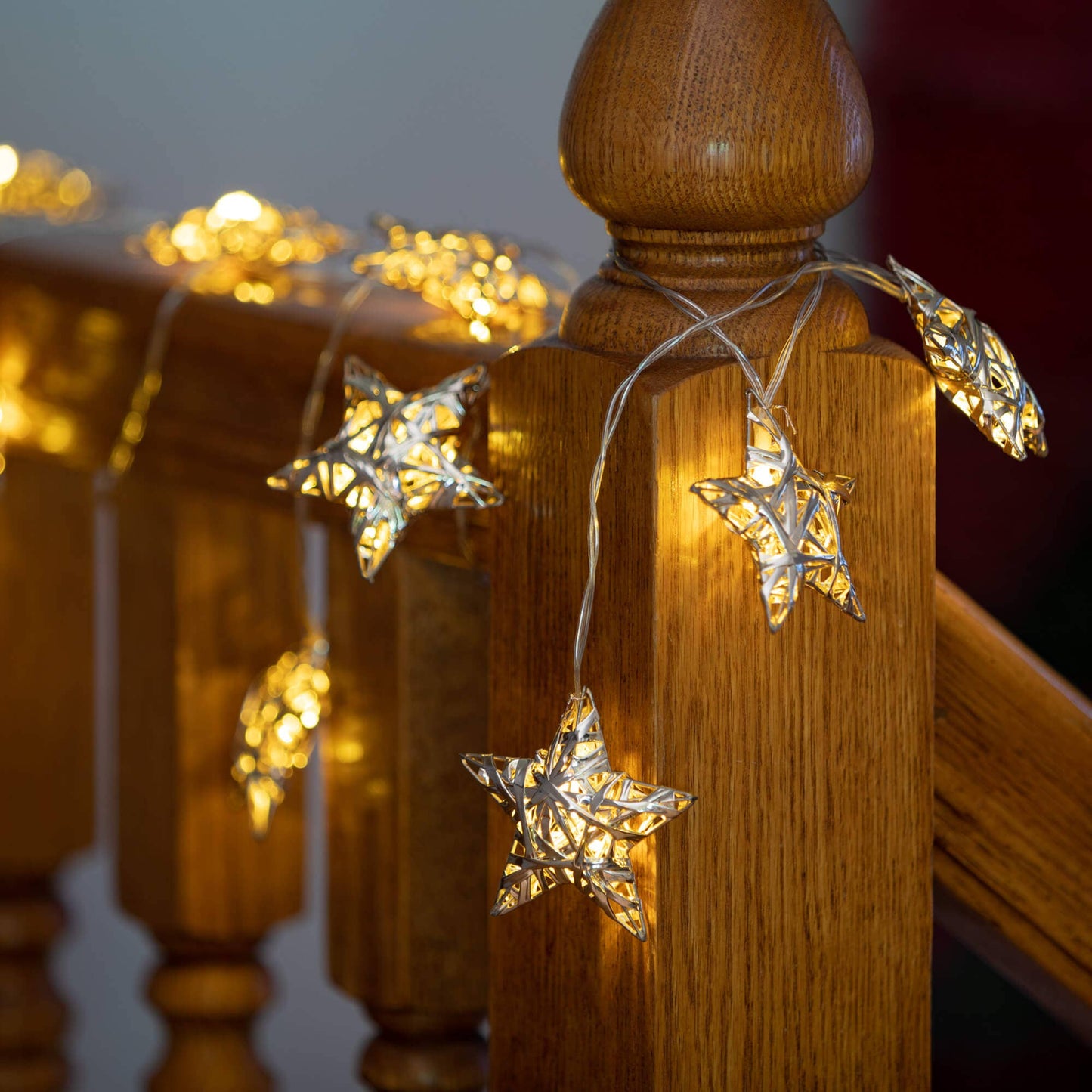 Champagne Lighted Garland