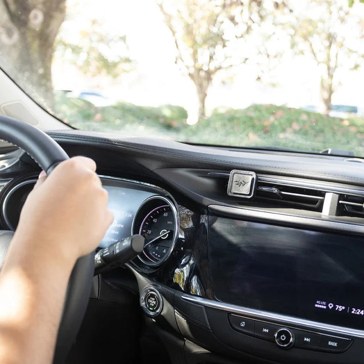 Auto Vent Clip | Citron Sol