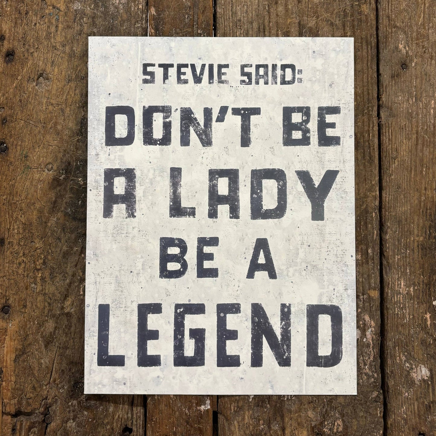 12"x16" Stevie Art Poster