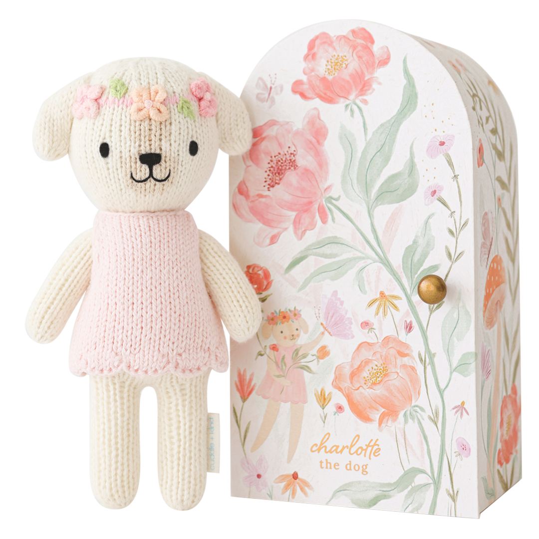Knitted dog toy with pink sweater in front of a floral-patterned box