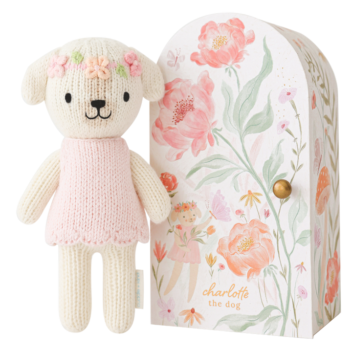 Knitted dog toy with pink sweater in front of a floral-patterned box
