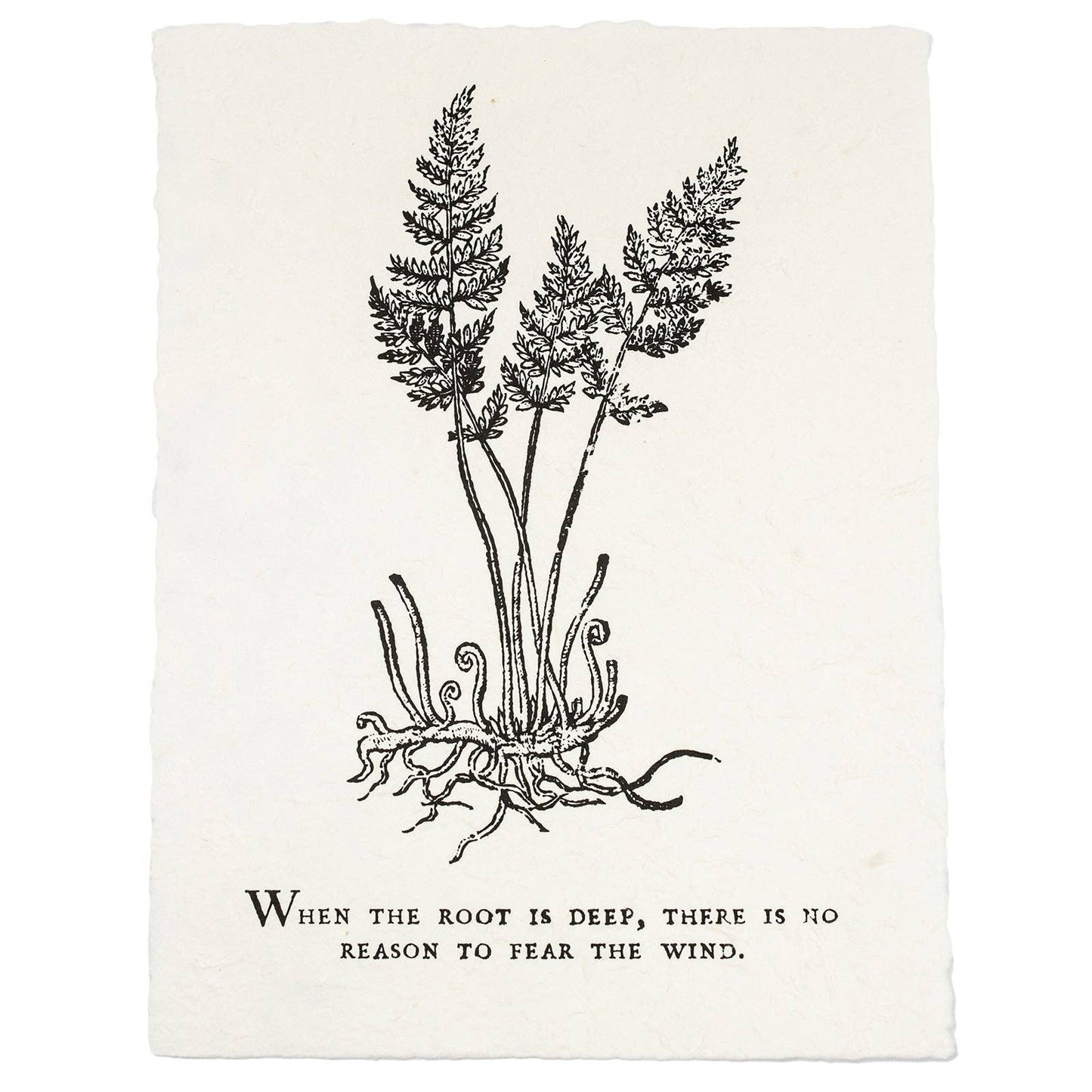 When The Root Is Deep - Botanical Handmade Paper Print