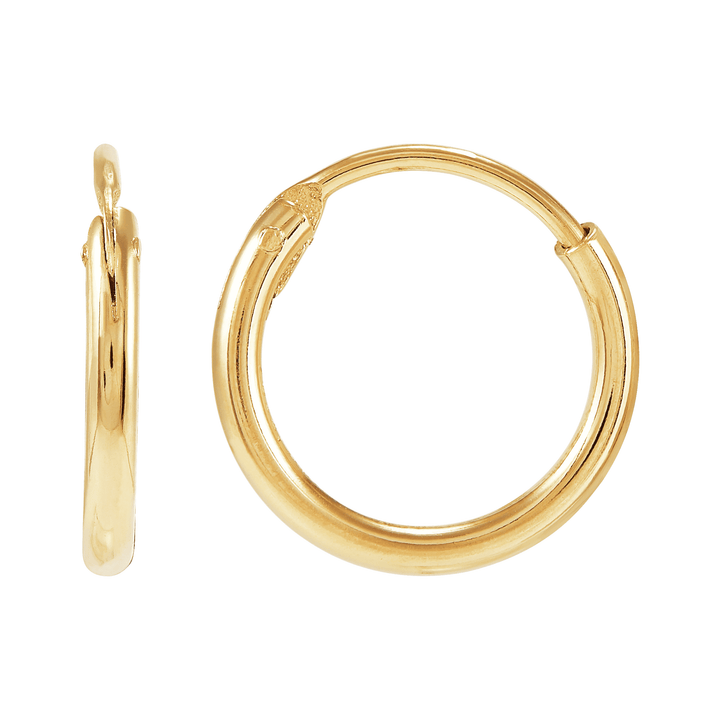 'Endless Cycle' Hoop