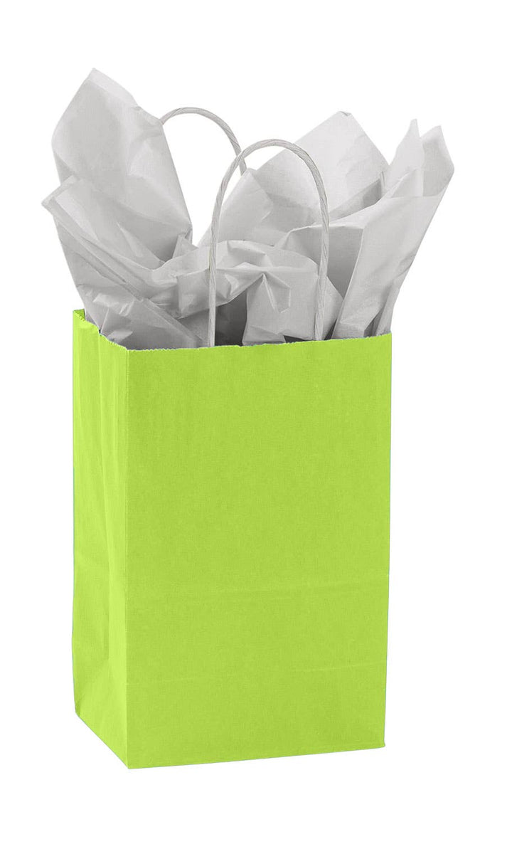 Colorful Kraft Paper Shopping Bags