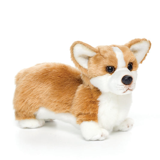 Corgi Small