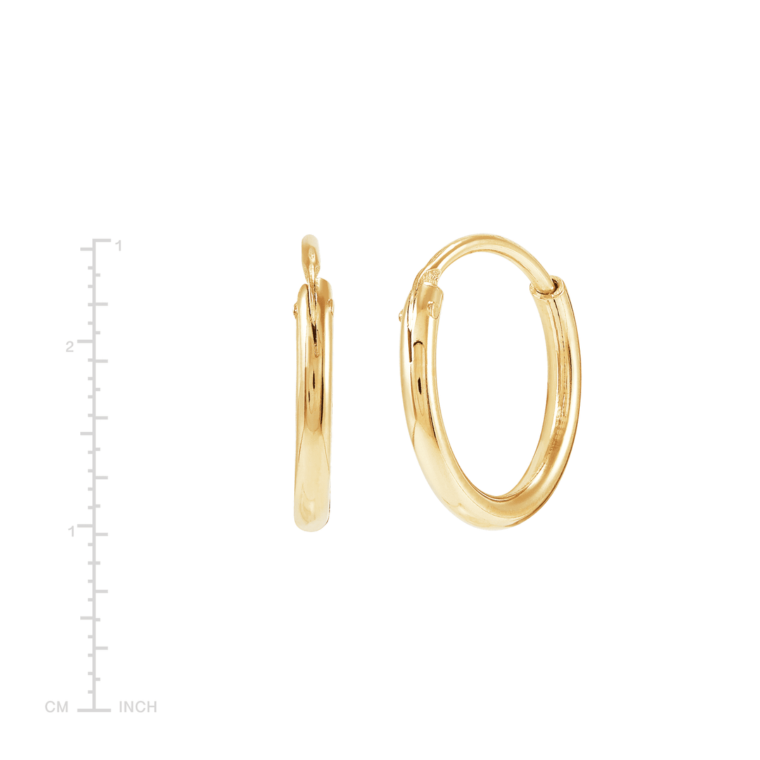'Endless Cycle' Hoop