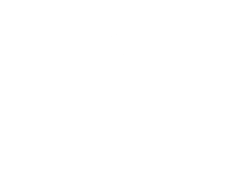Fern and Fauna Boutique