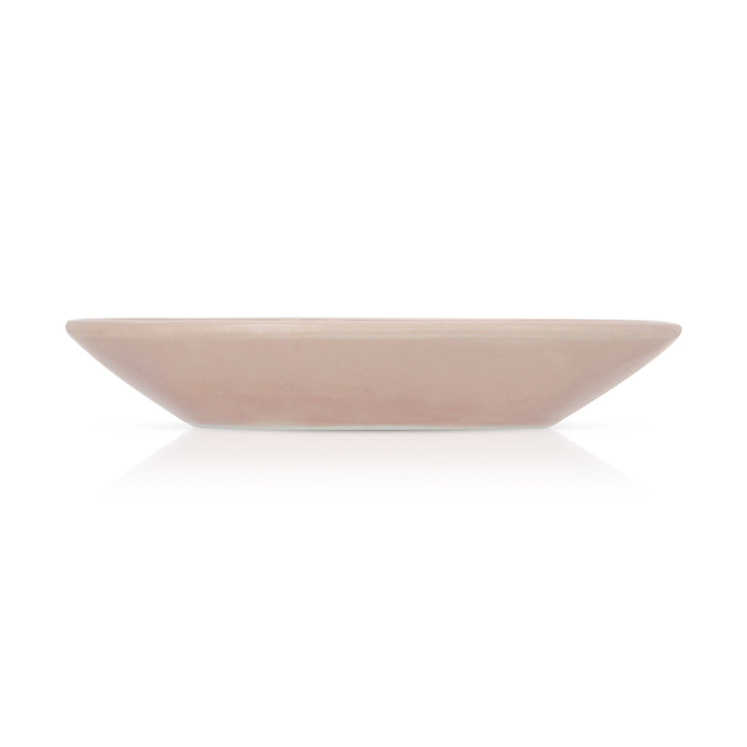 side view of dish

