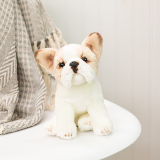 French Bulldog Small