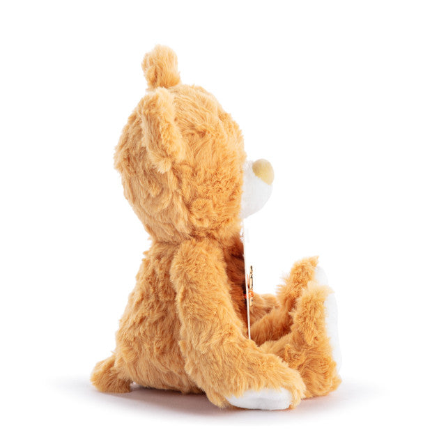 Happy Birthday Orange Bear