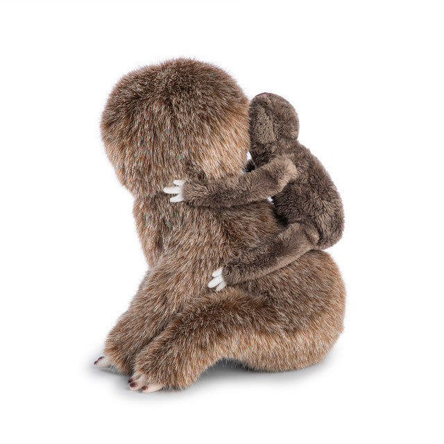 Sloth and Baby