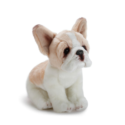 French Bulldog Small