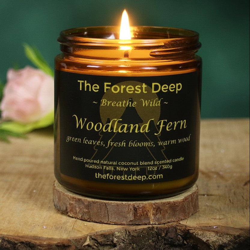 Woodland Fern | 12oz Candle